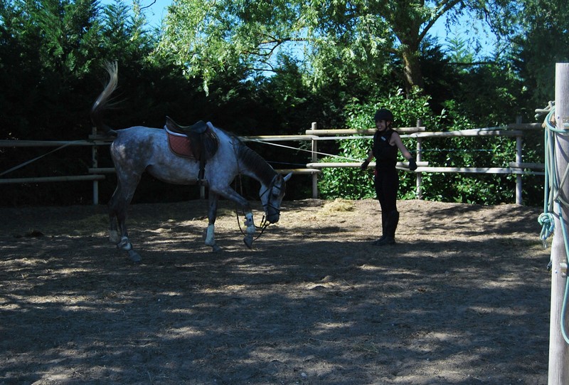 Zolina acogió el Campeonato Navarro Trec 2017